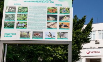Емил Милчев: Нов европейски проект вкарва иновации във &bdquo;Веолия Енерджи Варна&ldquo;