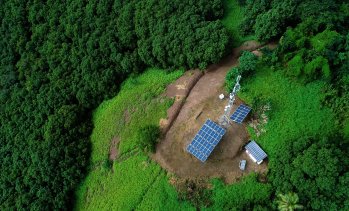 Устойчиви в мрежата: защо телекомите са ключов играч за устойчивото развитие на България