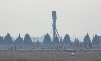 Турция иска съгласието на Русия да се отърве от системите С-400
