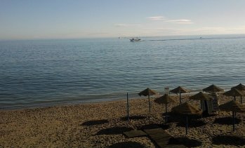 Хотелите в Палма де Майорка започват битка да си върнат туристите