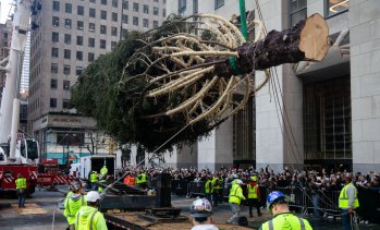 Кадър на деня за 8 ноември