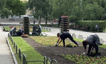 България остава страната с най-ниска безработица в ЕС