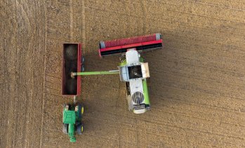 Водещите световни износители на пшеница ограничават износа