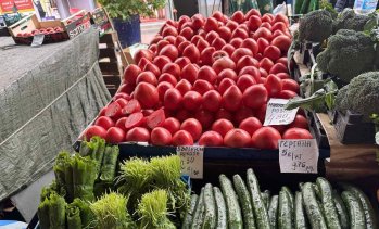 Доматите поевтиняват с близо 23% на борсите у нас тази седмица