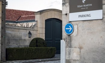 Remy Cointreau надмина прогнозите благодарение на силното търсене на коняк в Китай