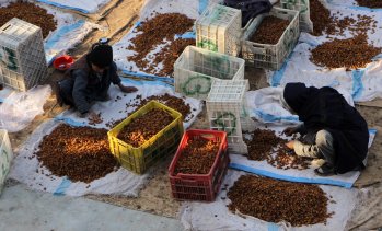 Кадър на деня за 7 януари