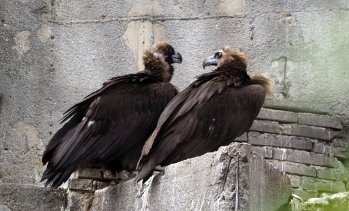 Кадър на деня за 16 май