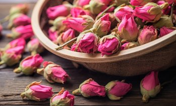 България настоява за специални европейски субсидии за маслодайната роза