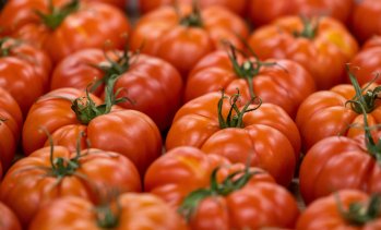 КНСБ: С 2% е поскъпнала малката потребителска кошница към началото на април