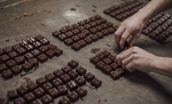 Обемите на преработеното какао надминаха прогнозите, носейки надежда за производителите на шоколад