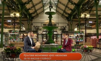 Как насекомите допринасят за устойчивото земеделие и кръговата икономика