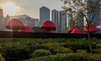 Кадър на деня за 8 декември