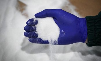 Производството на захар в Европа се насочва към 10-годишно дъно