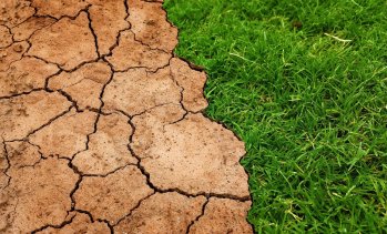 2025 г. е напът да бъде сред трите най-топли години в историята