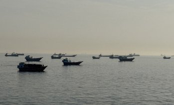 Цената на петрола се стабилизира след резкия спад*