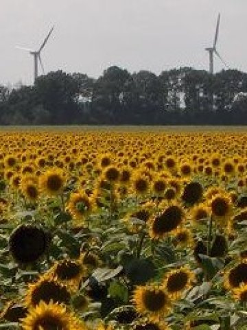 Снимка: Investor.bg