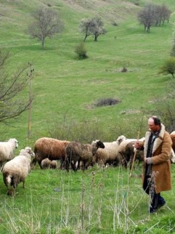 <p>
	От 2012 г. животновъдните ферми трябва да имат отговарящи на евростандартите торища, затова и част от гарантирания бюджет на програмата за селските райони е за изпълнение на ангажиментите по Нитратната директива &nbsp; Снимка: БТА</p>
