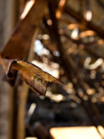 <p>
	<em>Снимка: sxc.hu</em></p>
