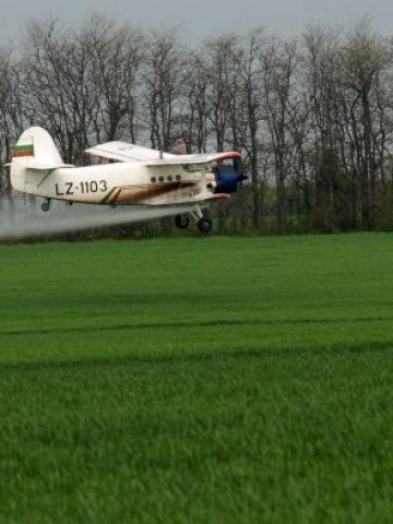 <p>
	<em>Експерти отчитат, че състоянието на посевите до момента е добро </em>&nbsp; &nbsp; &nbsp; &nbsp;Снимка: БТА &nbsp;</p>
