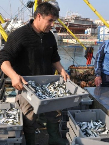 <p>
	Оперативна програма &quot;Рибарство&quot; изостава критично в усвояването на евросредствата спрямо останалите програми &nbsp; &nbsp;Снимка: БТА</p>
