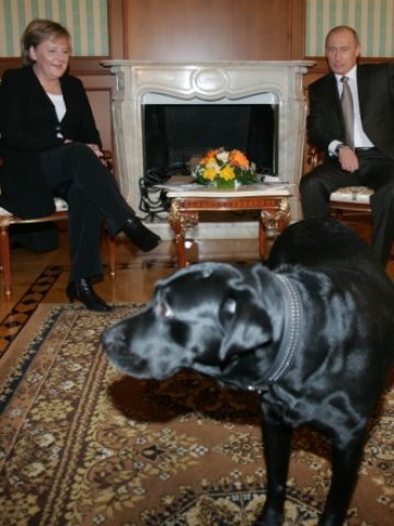 <p>
	Януари 2007 г. <span style="font-size: 11.8181819915771px;">- германският канцлер посещава руския президент Владимир Путин в лятната му резиденция в Сочи. <em>Снимка: Ройтерс</em></span></p>
