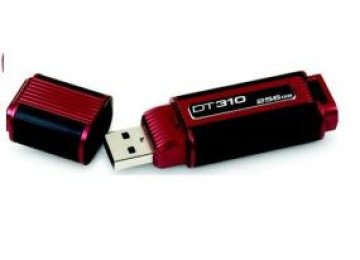 DataTraveler с 256 GB памет