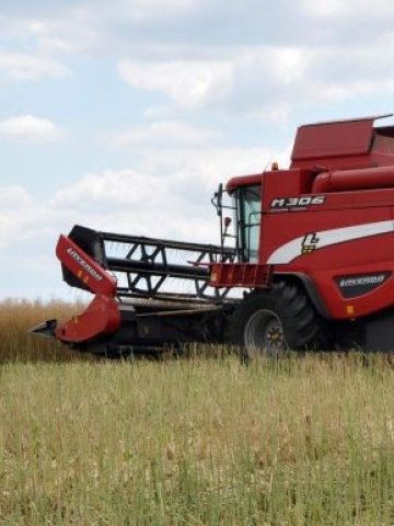 <p>
	Агросекторът разчита основно на зърнените, технически и маслодайни култури.&nbsp;<em>Снимка: БТА</em></p>
