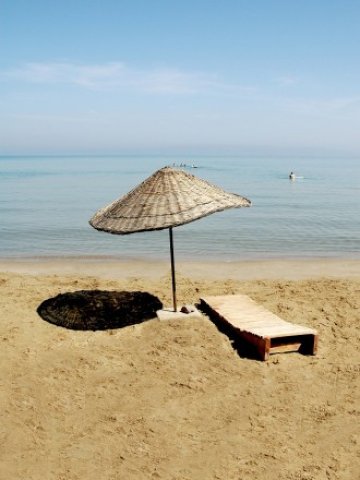 <p>
	<em>Снимка: www.freeimages.com</em></p>
