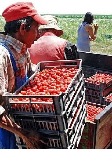 <p>
	Снимка: БТА</p>
