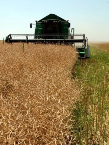 <p>
	Досега фермерите не са получавали максималния размер национални доплащания към евросубсидиите</p>
<p>
	Снимка: БТА</p>
