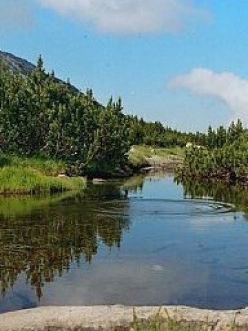 <p>
	<em>Снимка: Дирекция Национален парк &quot;Пирин&quot;</em></p>
