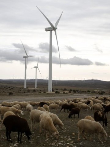 <p>
	<em>Снимка: Ройтерс</em></p>
