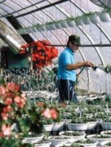 <p>
	Снимка: sxc.hu</p>
