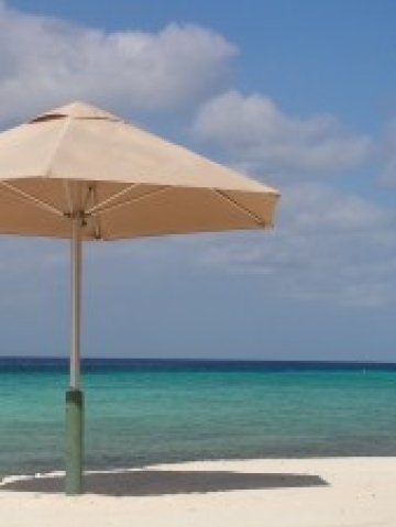 <p>
	Снимка: sxc.hu</p>
