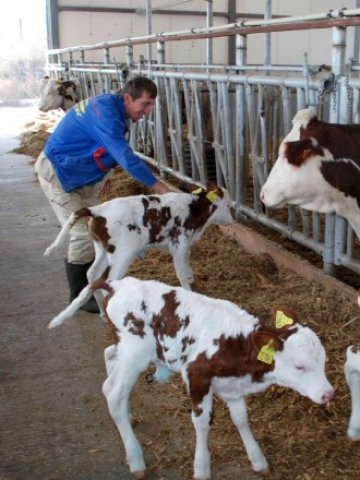 <p>
	От миналата година животновъдите активно започнаха да подготвят проекти за модернизация на фермите си &nbsp; &nbsp; Снимка: БТА</p>
