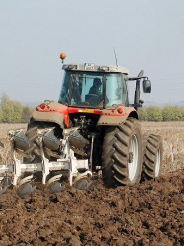 <p>
	В края на сеитбата отново се отчита увеличение в площите със зърнени и енергийни култури</p>
<p>
	Снимка: БТА</p>
