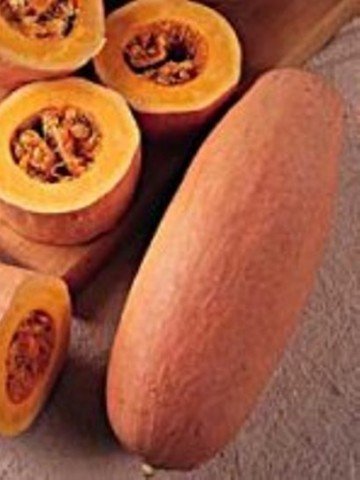 Сортът розови тикви с формата на банан, които ще са част от лотовете на аукциона. Снимка: goebelfarms