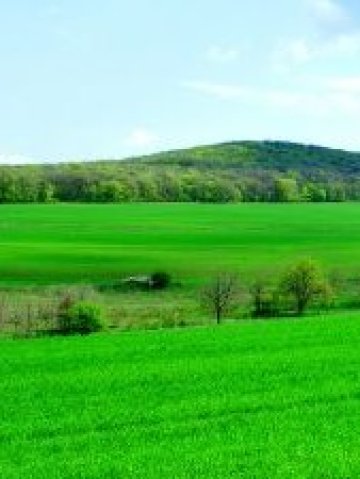 Досегът на тревата до боси крака помага на хората да възвърнат креативността си. Снимка: sxc.hu