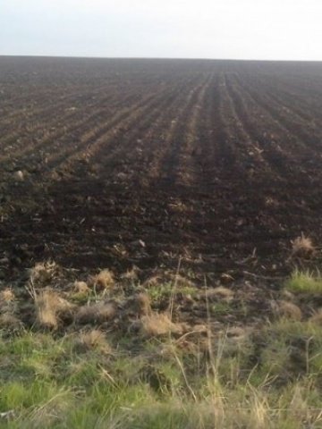 Акциите на Агрия груп холд поскъпнаха с 6% след печалба от 10 млн. лв. за 2014 г