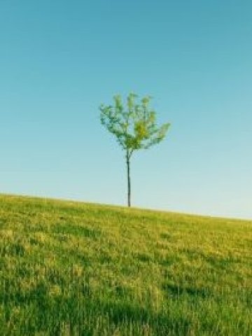 <p>
	Земята у нас е 8 пъти по-евтина от тази в Гърция. <em>Снимка: sxc.hu</em></p>
