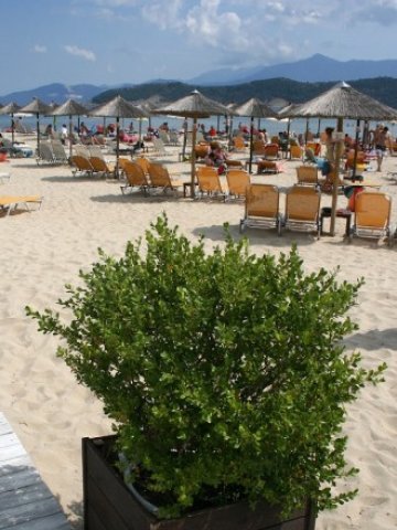 <p>
	<em>Снимка: БТА</em></p>
