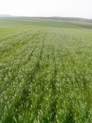 <p>
	<em>Снимка: Investor.bg</em></p>
