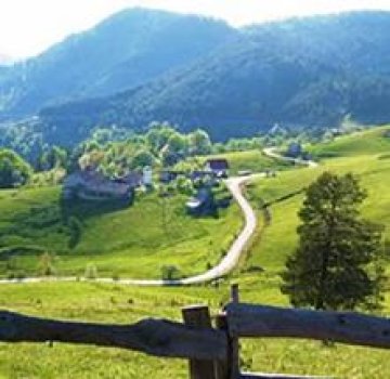 Необичайни летни атракции в Сърбия