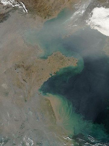 <p>
	Бохайско (горе) и Жълто (долу) море. <em>Снимка: eutrophication&amp;hypoxia by Flickr, лиценз: <strong><a href="http://creativecommons.org/licenses/by/2.0/deed.en" target="_blank">Creative Commons</a></strong></em>.</p>
