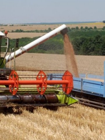 <p>
	<em>Над 4,1 млн. тона зърно бяха добити това лято</em> &nbsp; &nbsp; &nbsp; Снимка: БТА</p>
