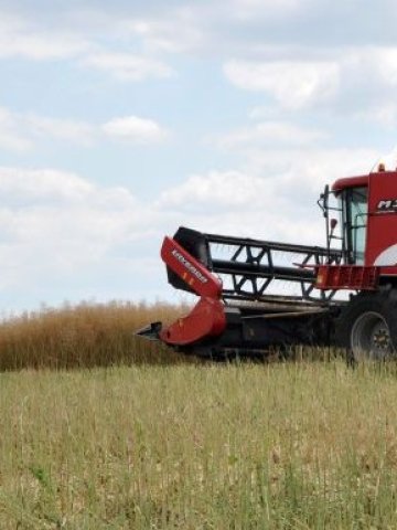 <p>
	За първи път парите в растениевъдството са орязани, но в животновъдството са гарантирани</p>
<p>
	Снимка: БТА</p>
