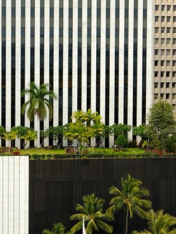 <p style="margin-bottom: 0cm">
	Зелен покрив в Хонолулу<span lang="en-US">,</span> САЩ. <em>Снимка: jdnx, лиценз: <a href="http://creativecommons.org/licenses/by/2.0/" target="_blank"><span lang="en-US">Creative Commons</span></a></em></p>
