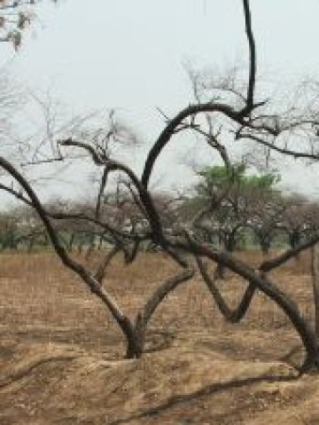 <p>
	Снимка: sxc.hu</p>
