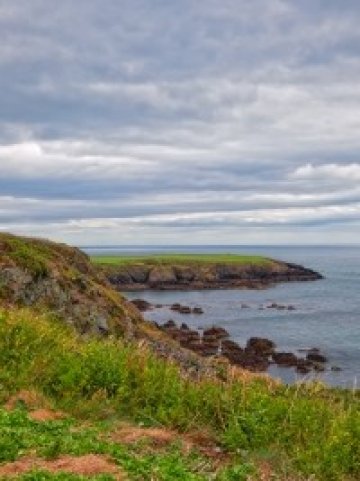 <p>
	<em>С. Анстън в югоизточна Ирландия - едно от малкото без пъб. Снимка: sxc.hu</em></p>
