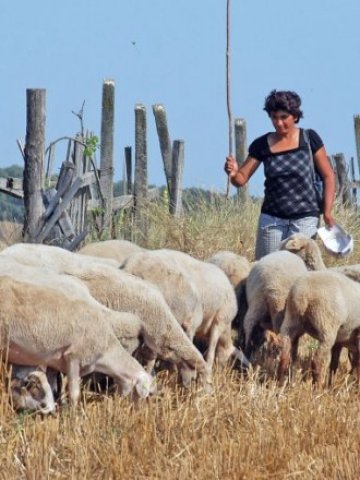 <p>
	Допълнителните средства са натрупани от нереализирани проекти през последните 2 години. <em>Снимка: БТА</em></p>
